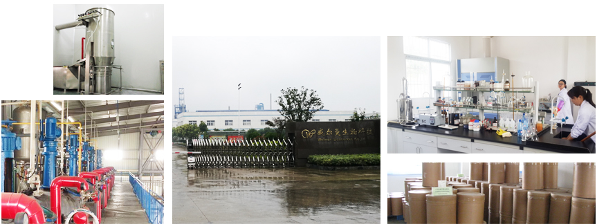 潛江市恒誠物流有限公司
