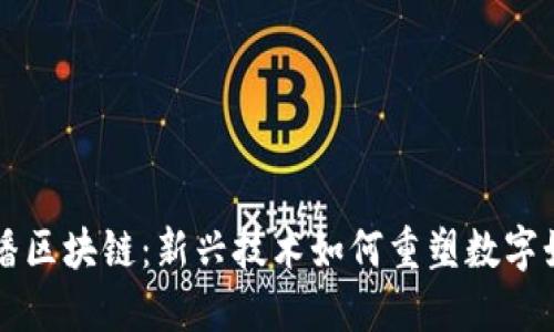 探索快播區(qū)塊鏈：新興技術(shù)如何重塑數(shù)字娛樂平臺(tái)