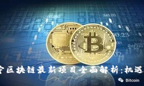 2023年南寧區(qū)塊鏈最新項目全面解析：機遇與挑戰(zhàn)并存